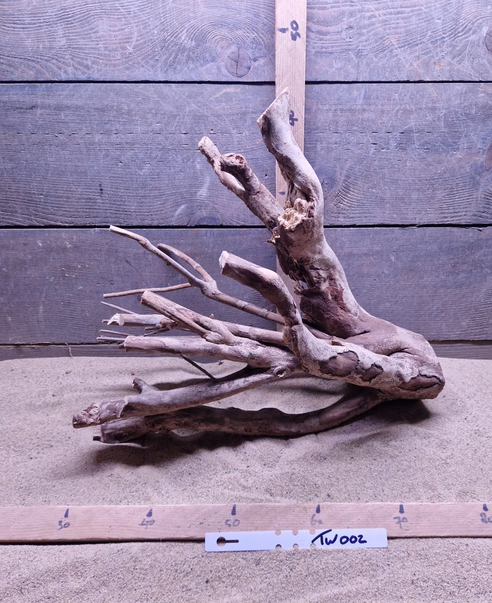 Talawa Wood TW002