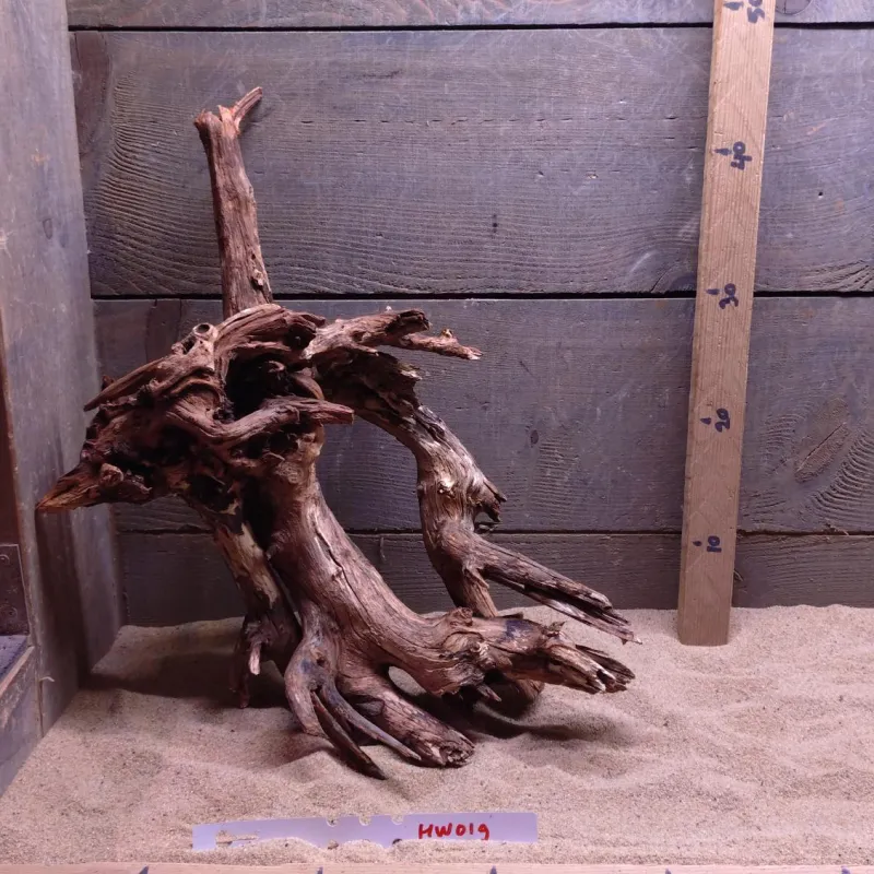 Hornwood HW019