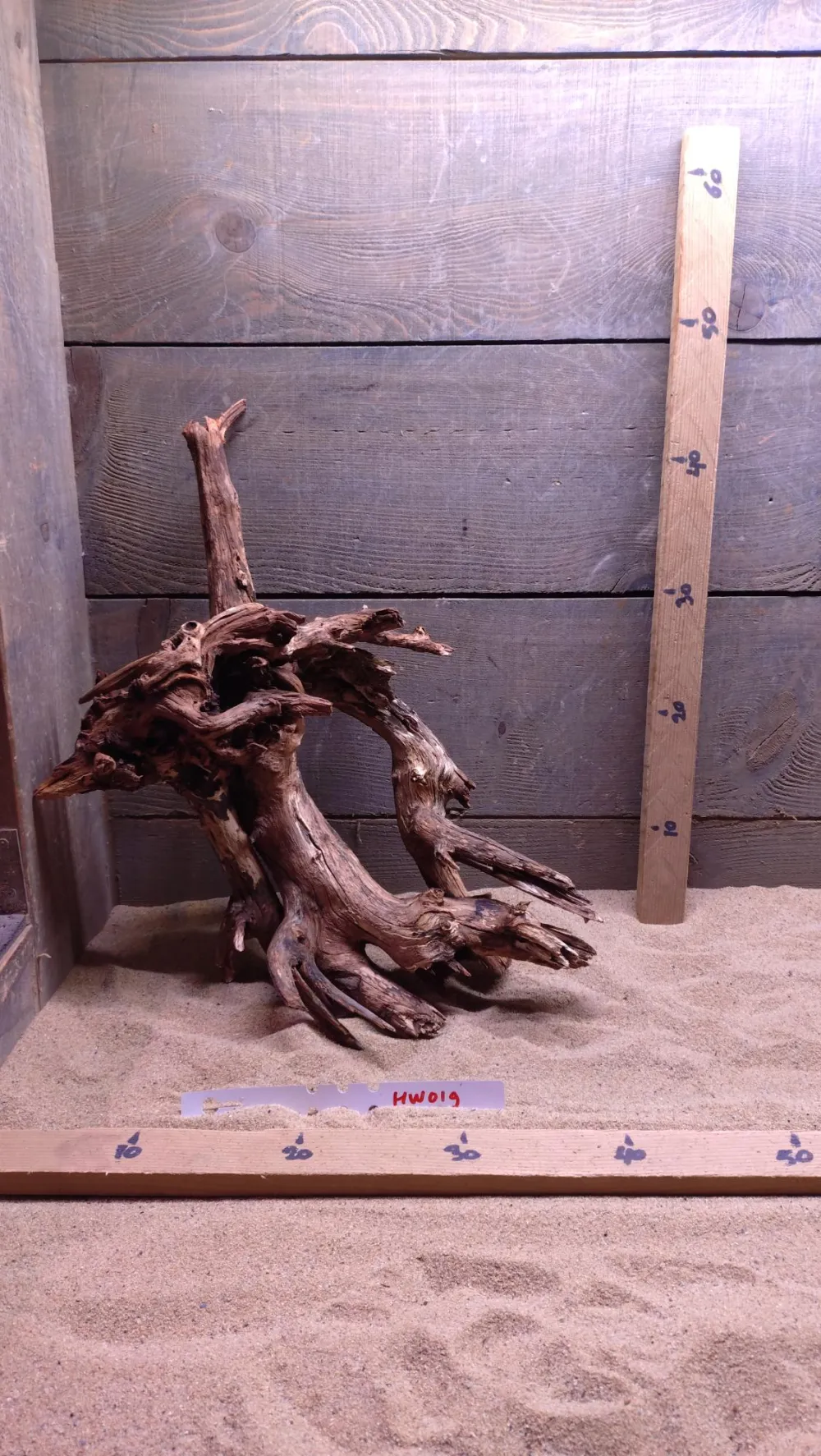 Hornwood HW019