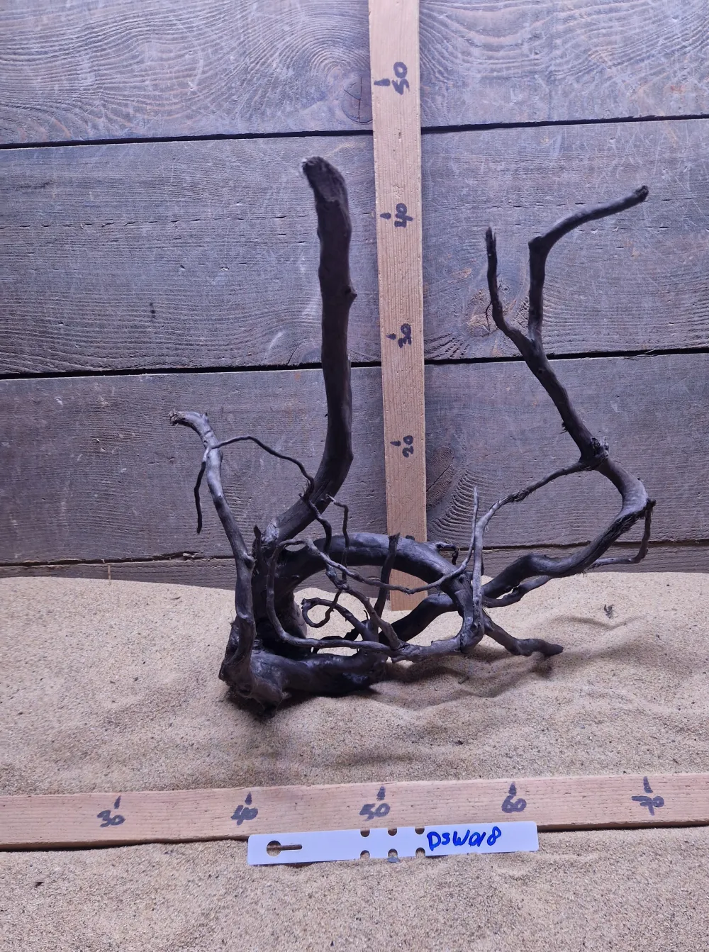 Dark Spiderwood DSW018