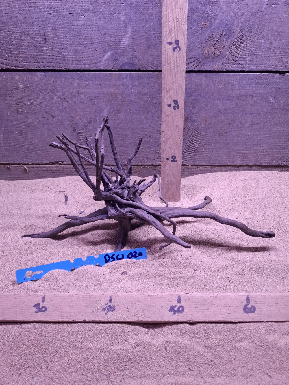 Dark Spiderwood DSW020