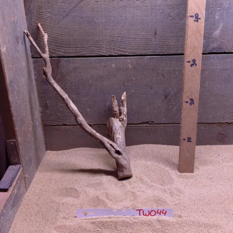 Talawa Wood TW044