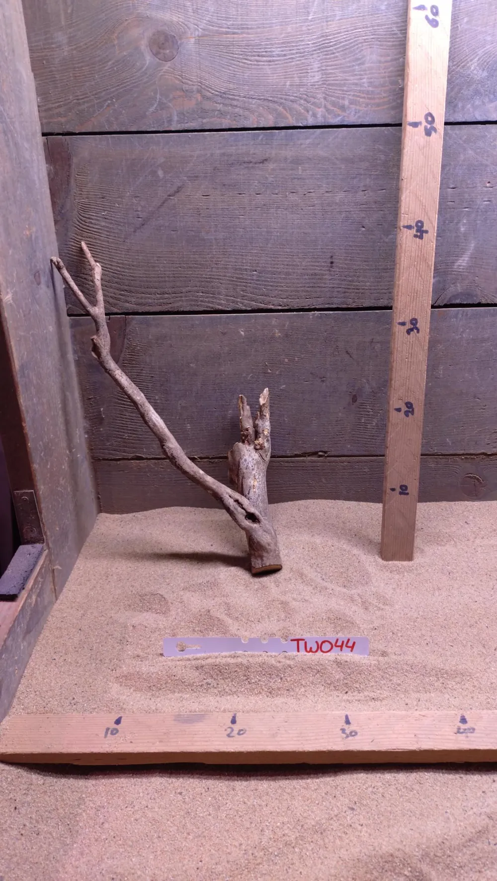 Talawa Wood TW044