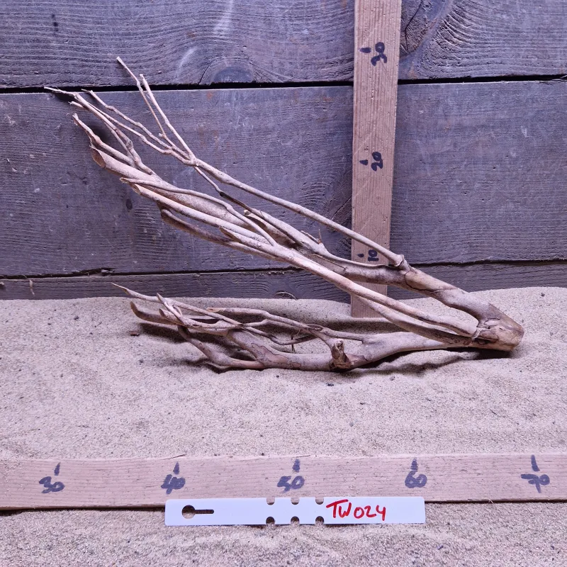 Talawa Wood TW024