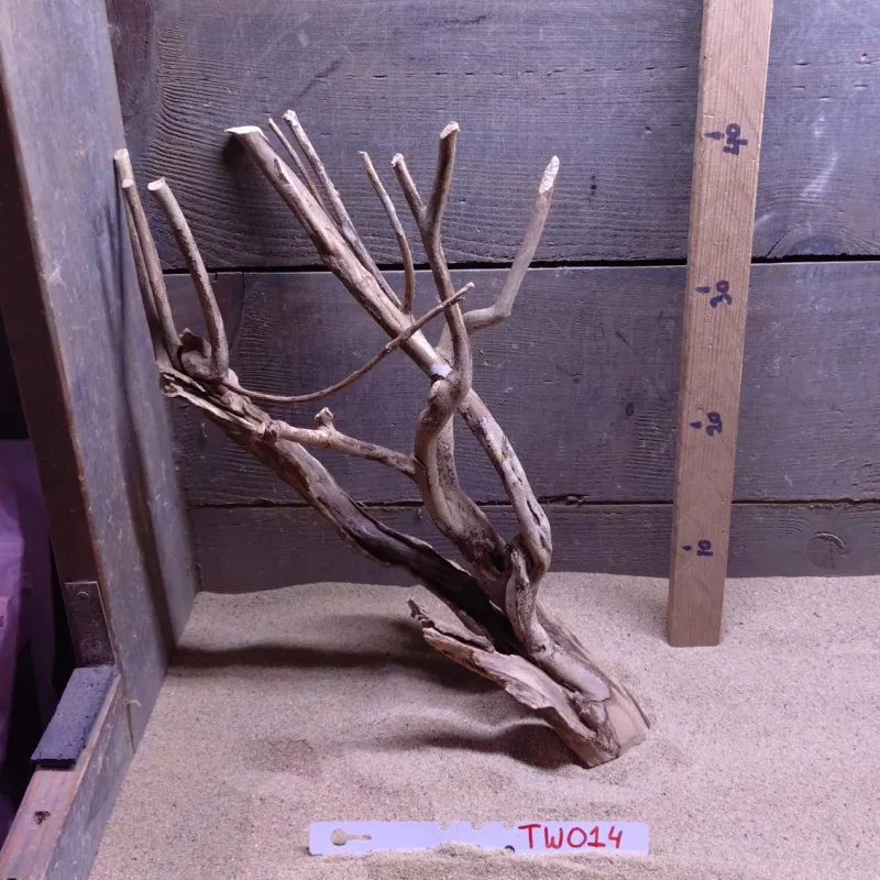 Talawa Wood TW014
