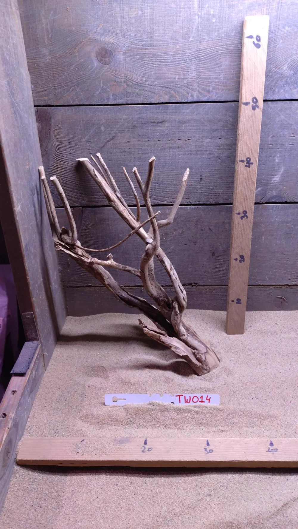 Talawa Wood TW014