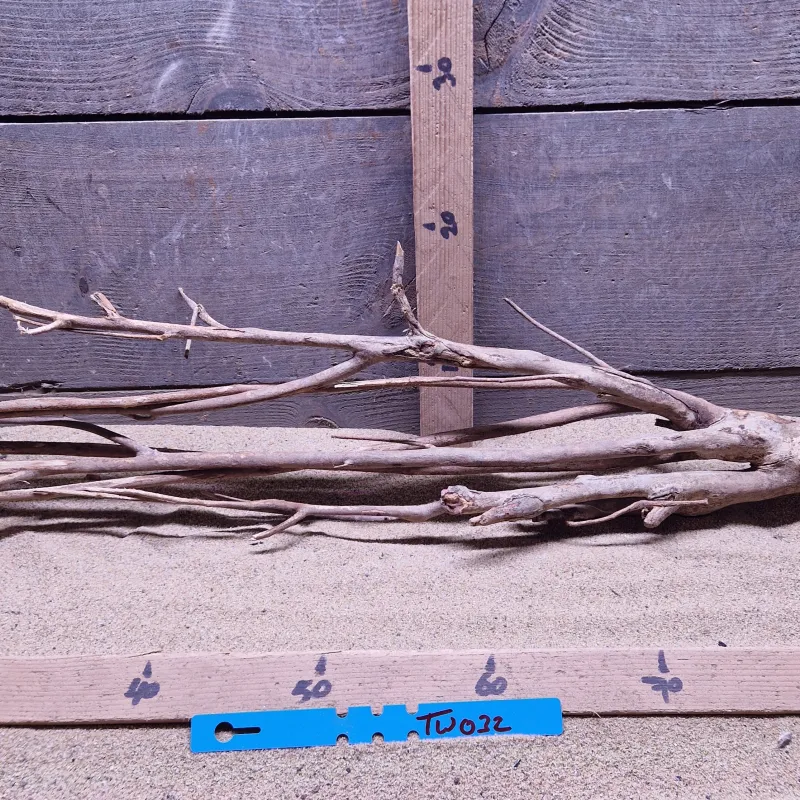 Talawa Wood TW032