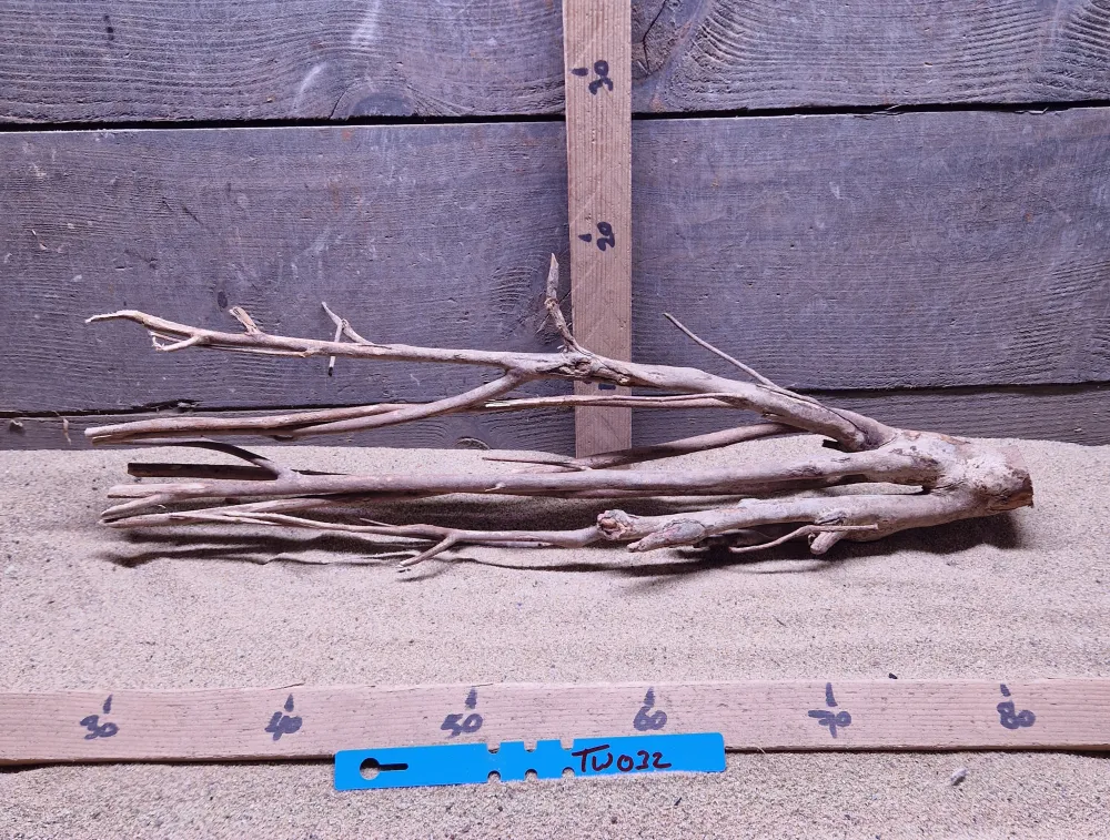 Talawa Wood TW032