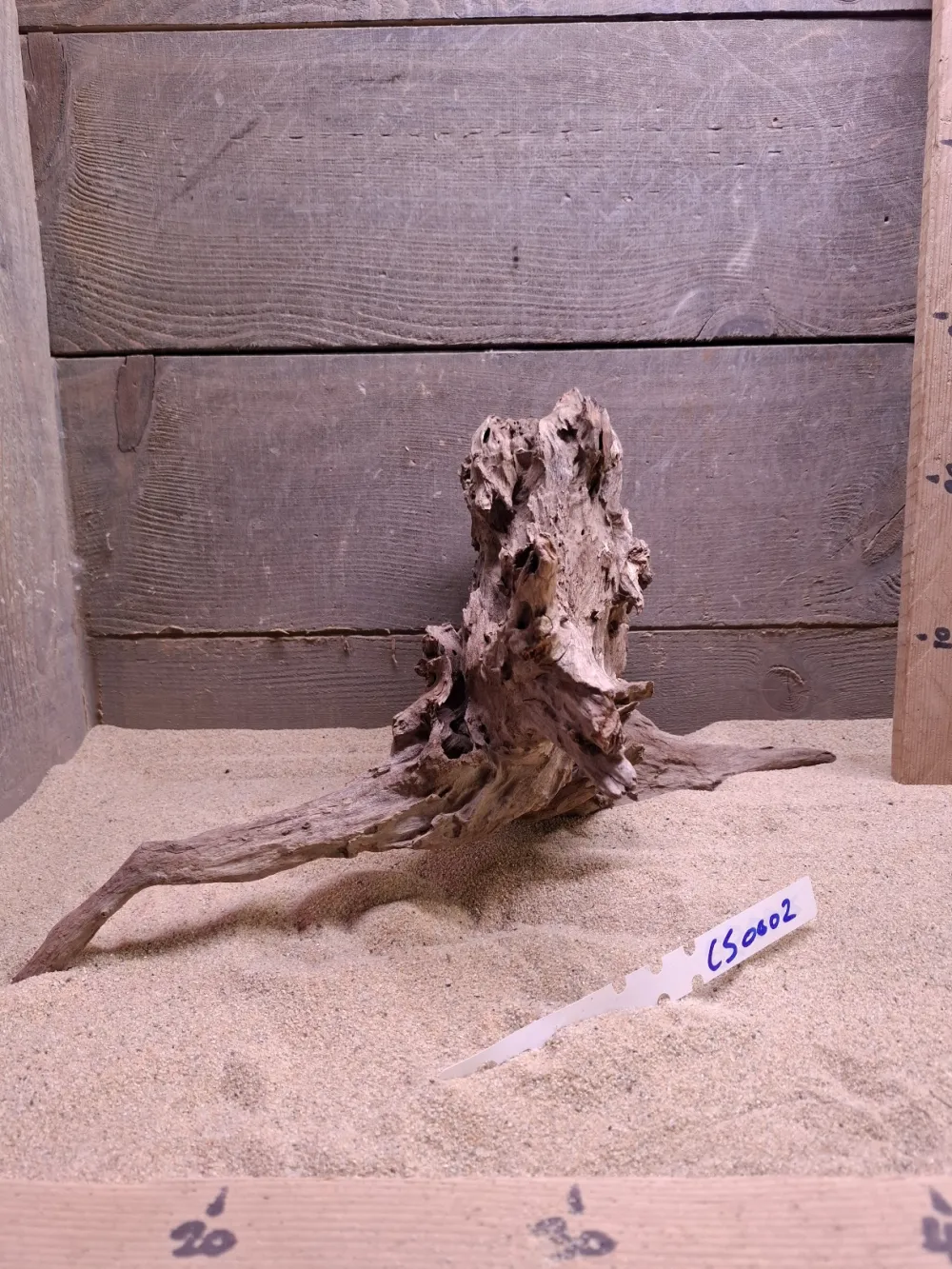 Corbo Root CS0002