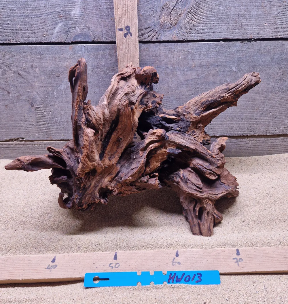 Hornwood HW013