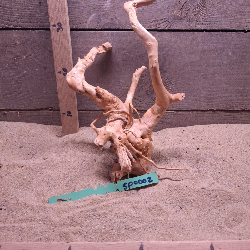 Spiderwood SP0002