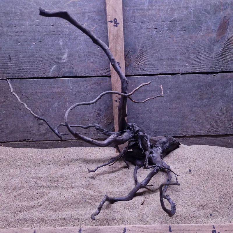 Dark Spiderwood DSW011