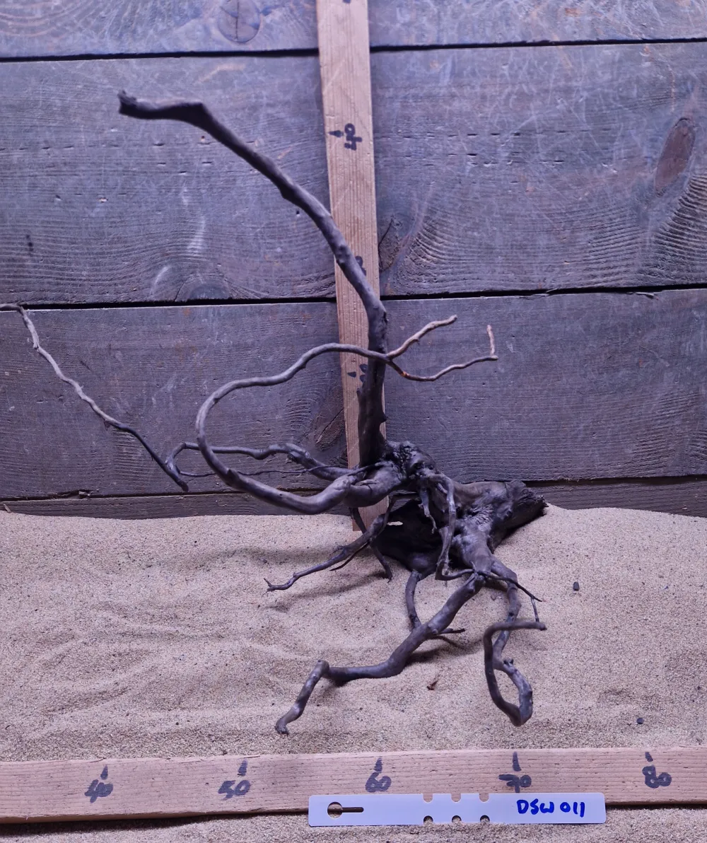 Dark Spiderwood DSW011