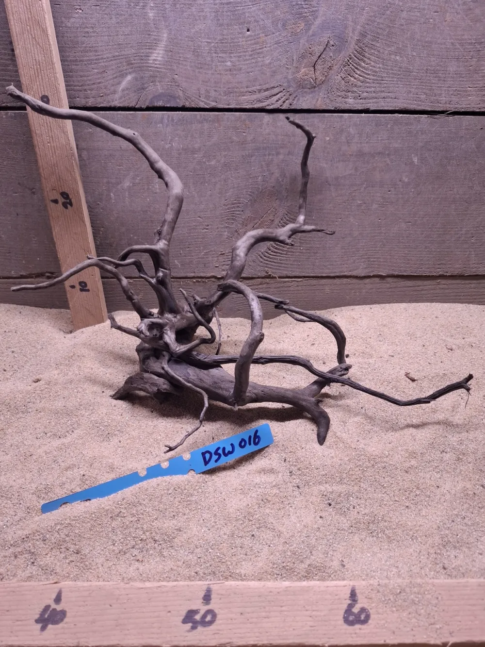 Dark Spiderwood DSW016