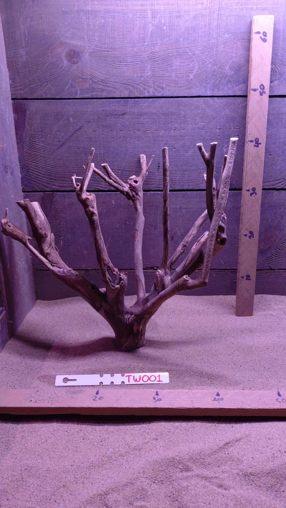 Talawa Wood TW001