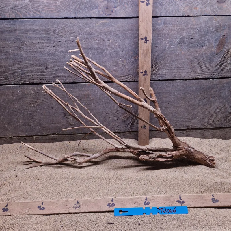 Talawa Wood TW006