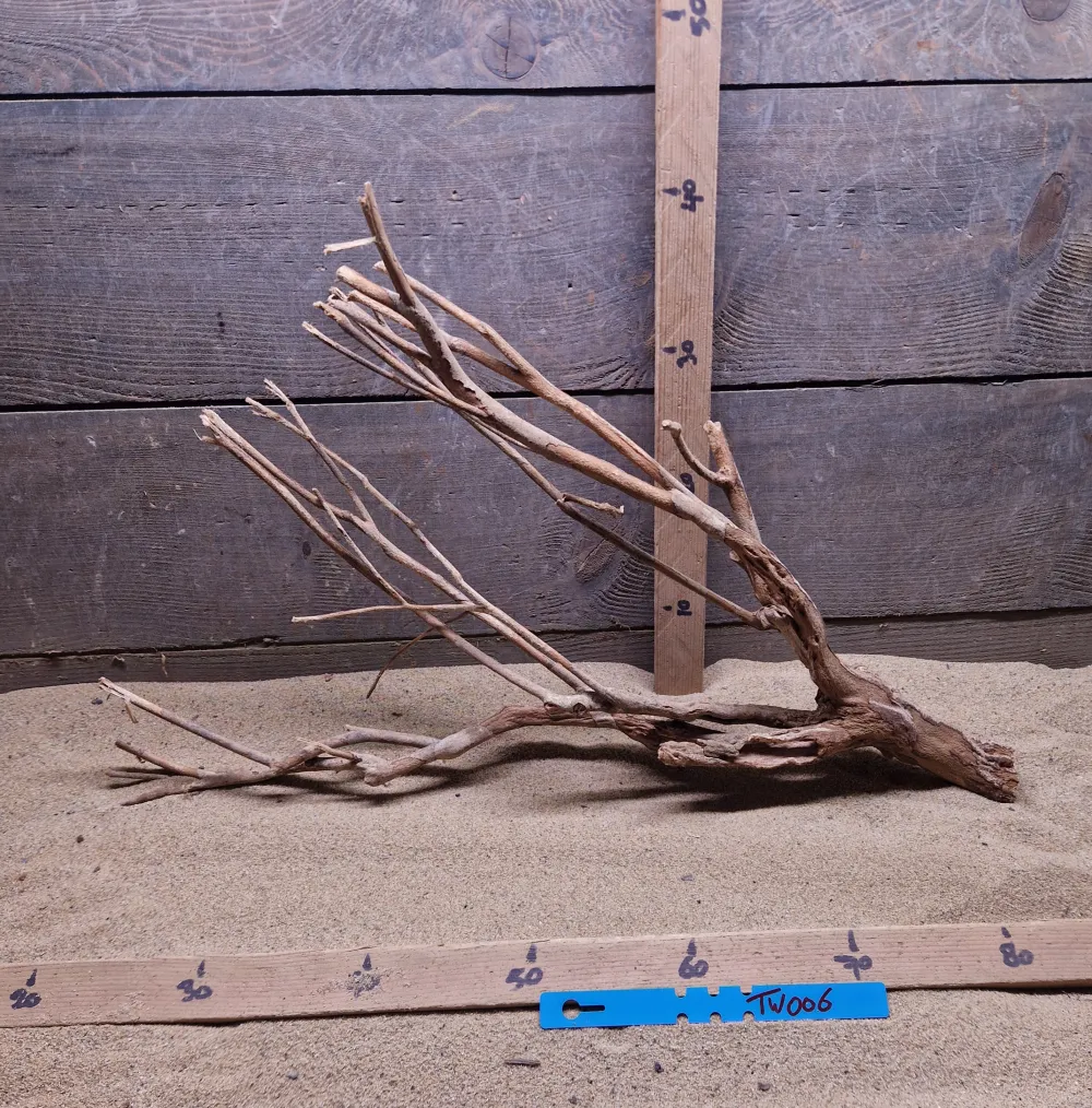 Talawa Wood TW006