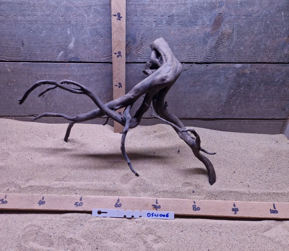 Dark Spiderwood DSW006
