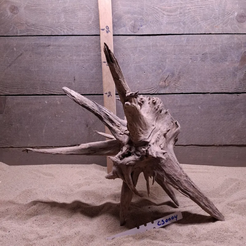 Corbo Root CS0004