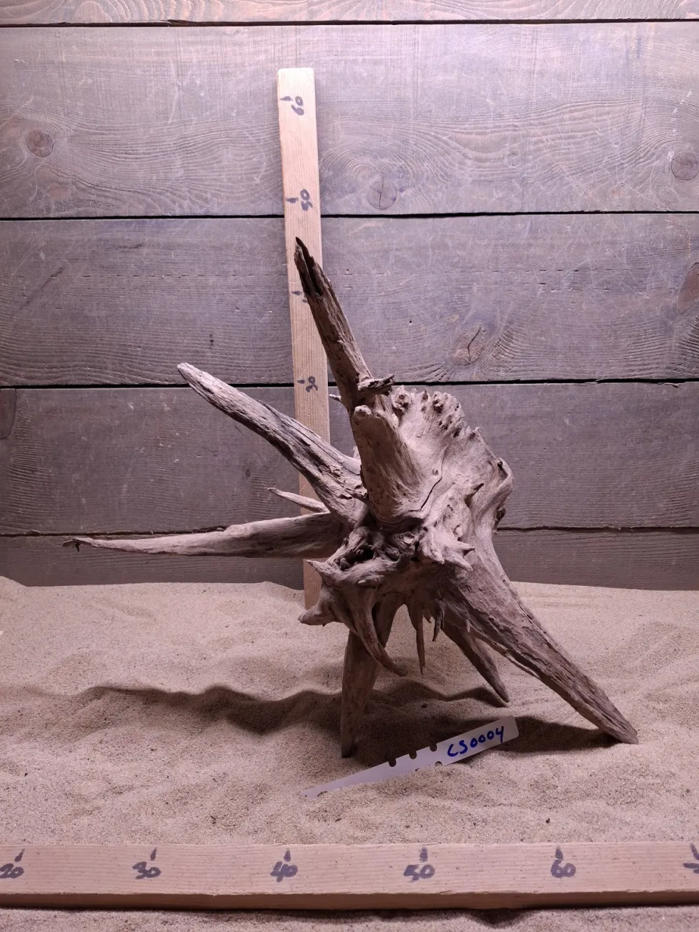 Corbo Root CS0004