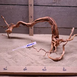 Azalea Root AR0002