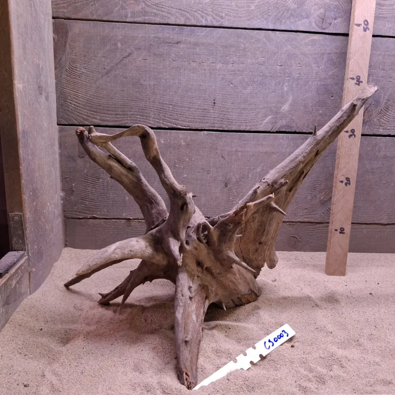 Corbo Root CS0003