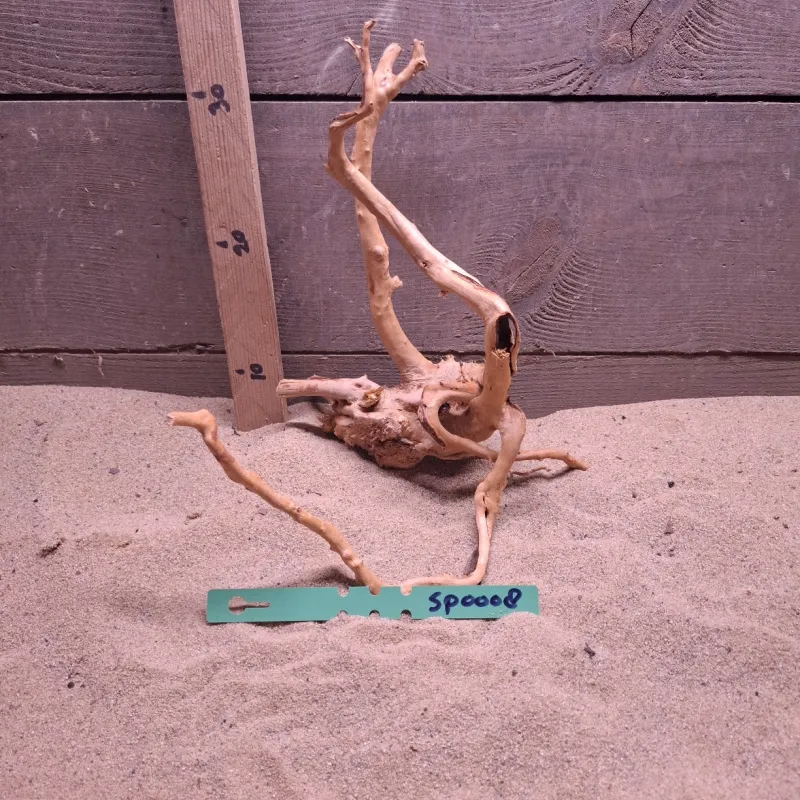 Spiderwood SP0008