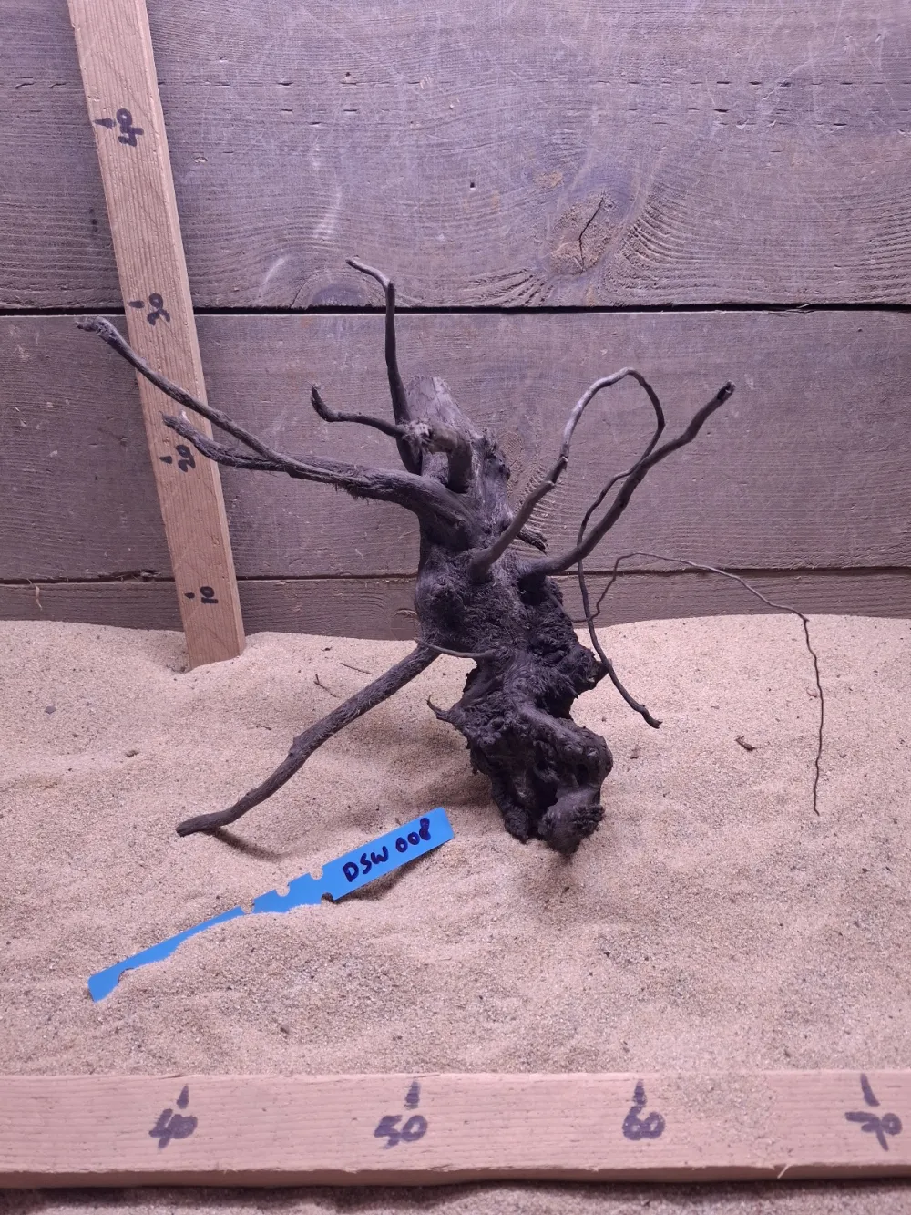 Dark Spiderwood DSW008