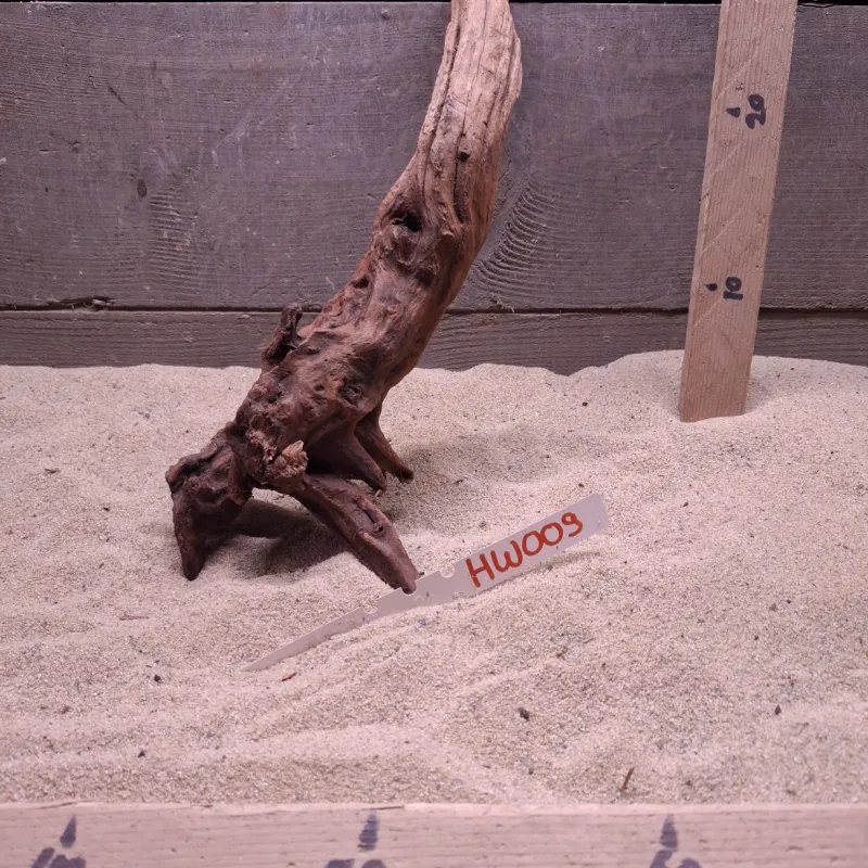 Hornwood HW009