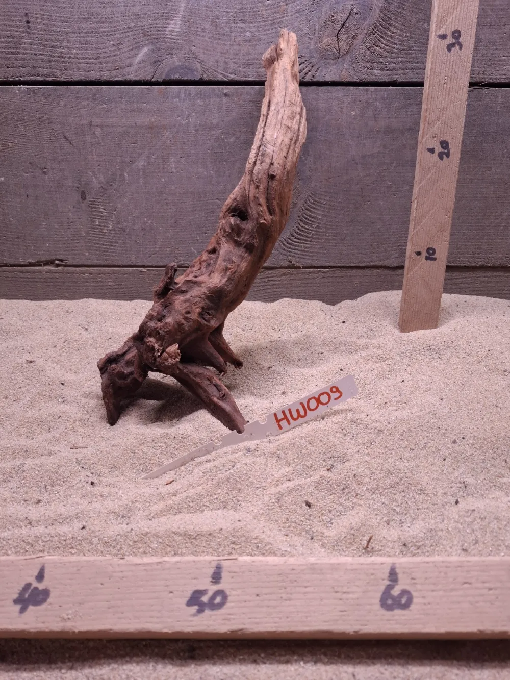 Hornwood HW009