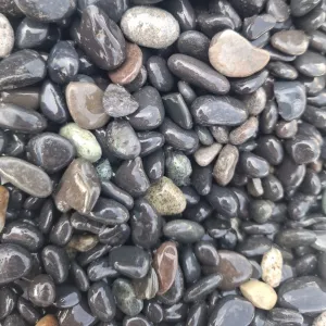 Aquascaping details| Midi Pebbles 1000 gram