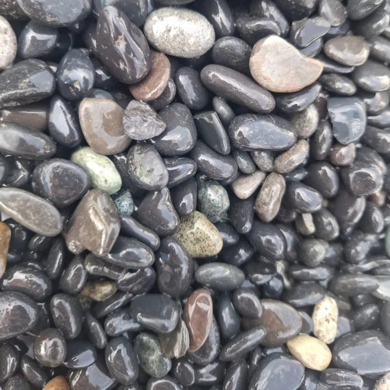 Aquascaping details| Midi Pebbles 1000 gram