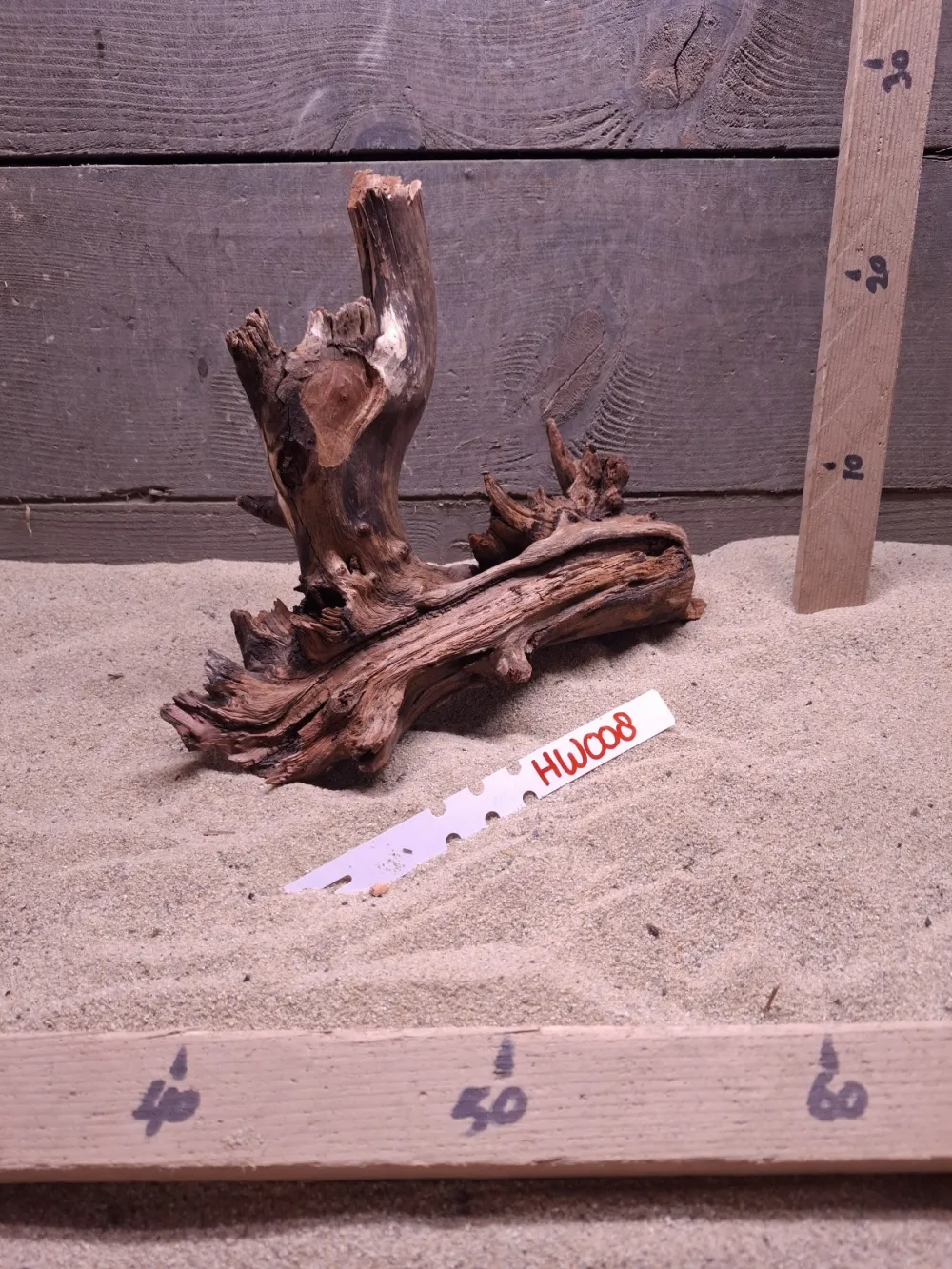 Hornwood HW008