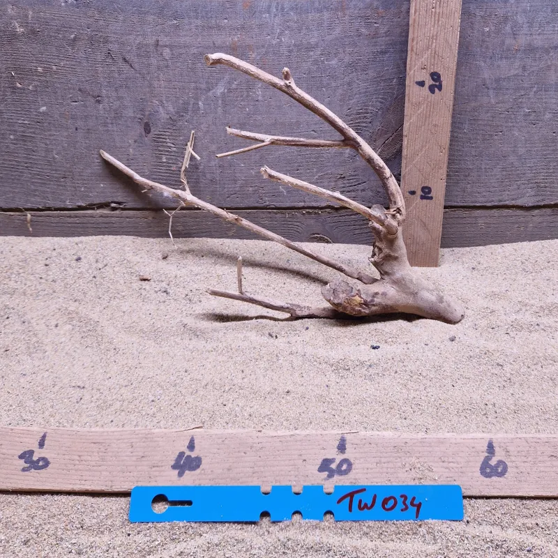 Talawa Wood TW034