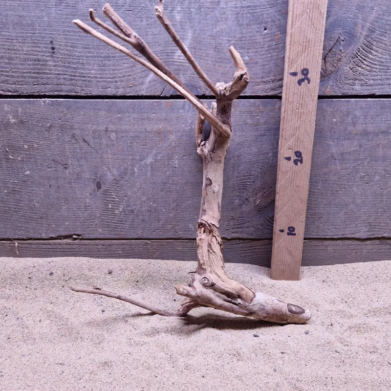Talawa Wood TW005