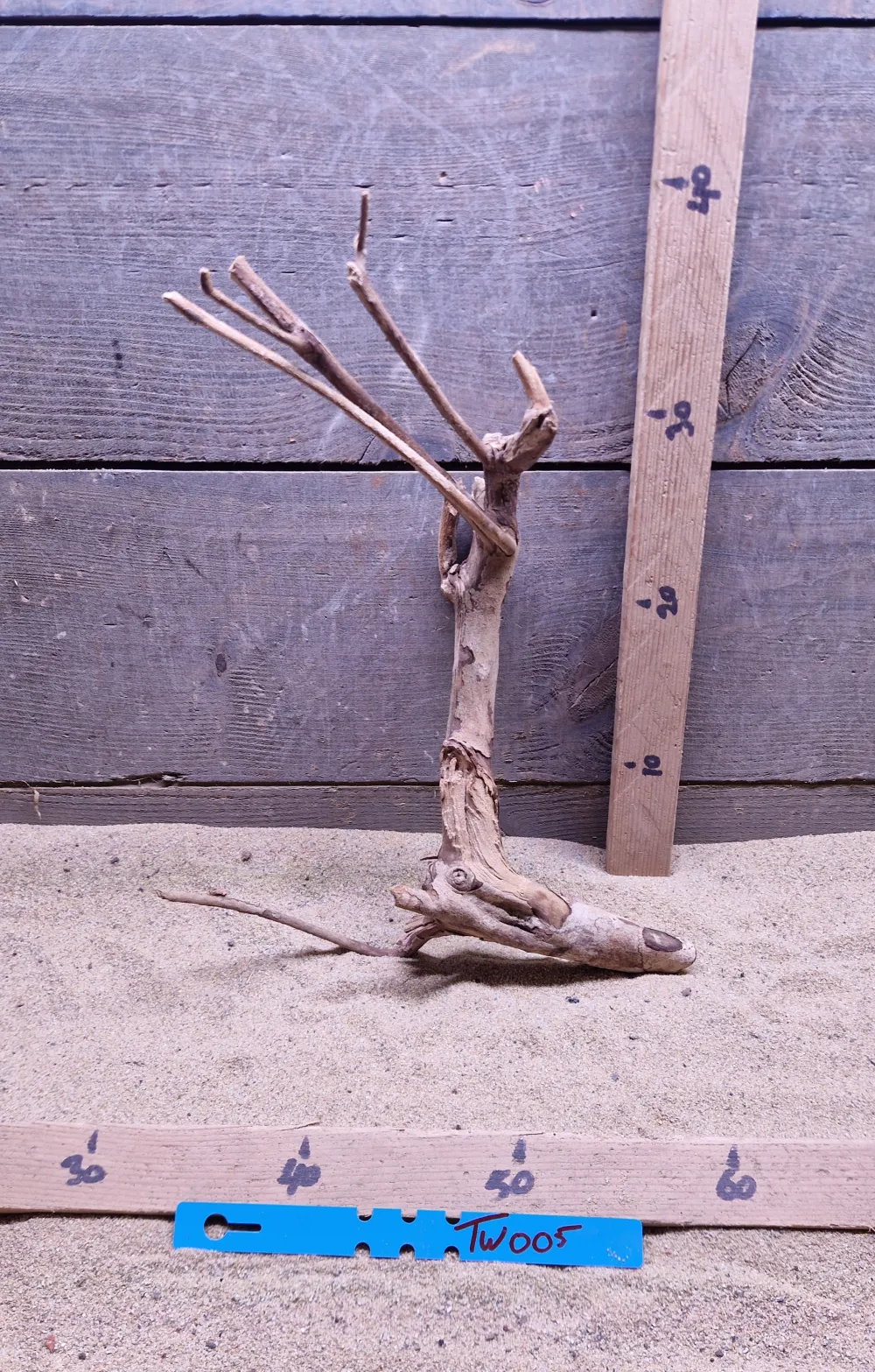 Talawa Wood TW005