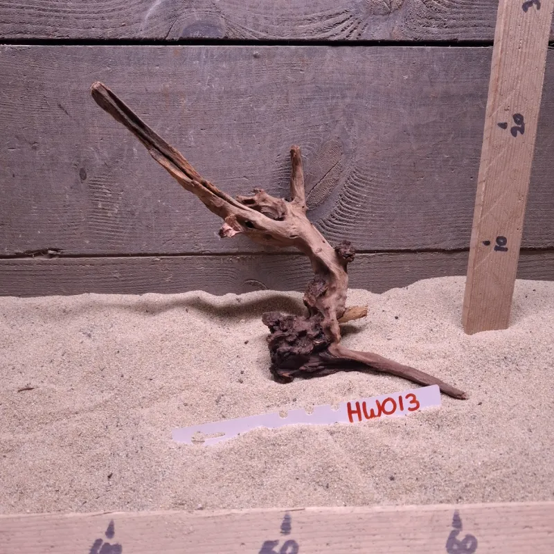 Hornwood HW013