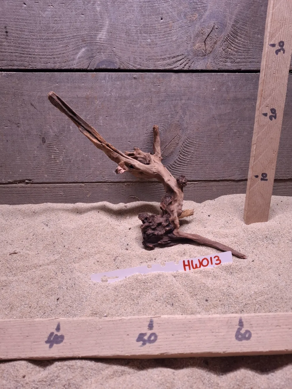 Hornwood HW013