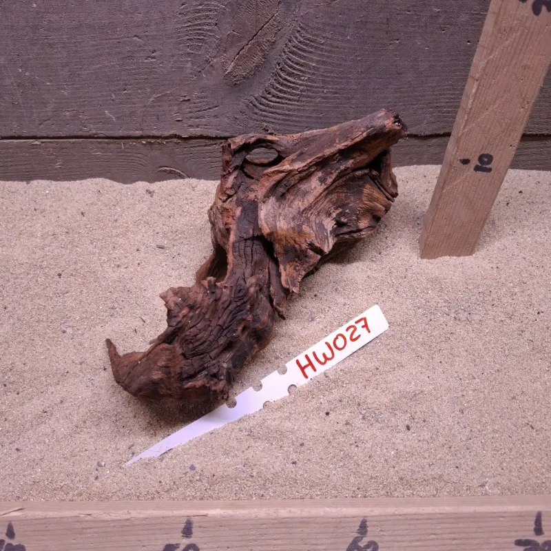 Hornwood HW027
