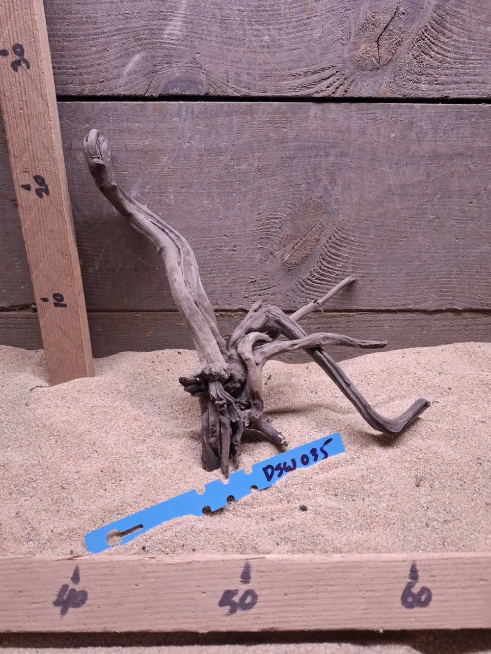 Dark Spiderwood DSW035