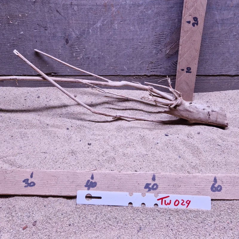 Talawa Wood TW029