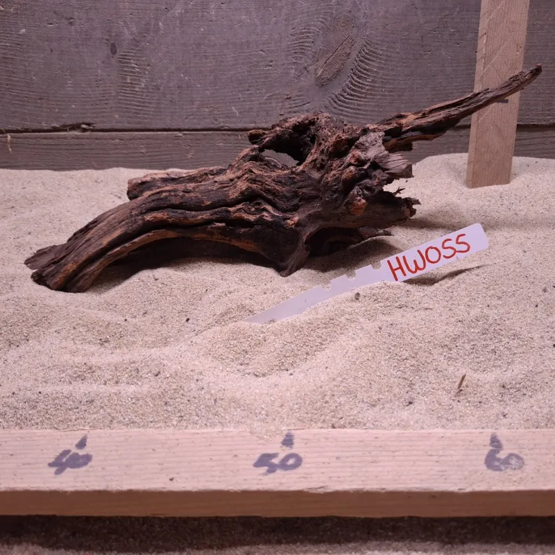 Hornwood HW055