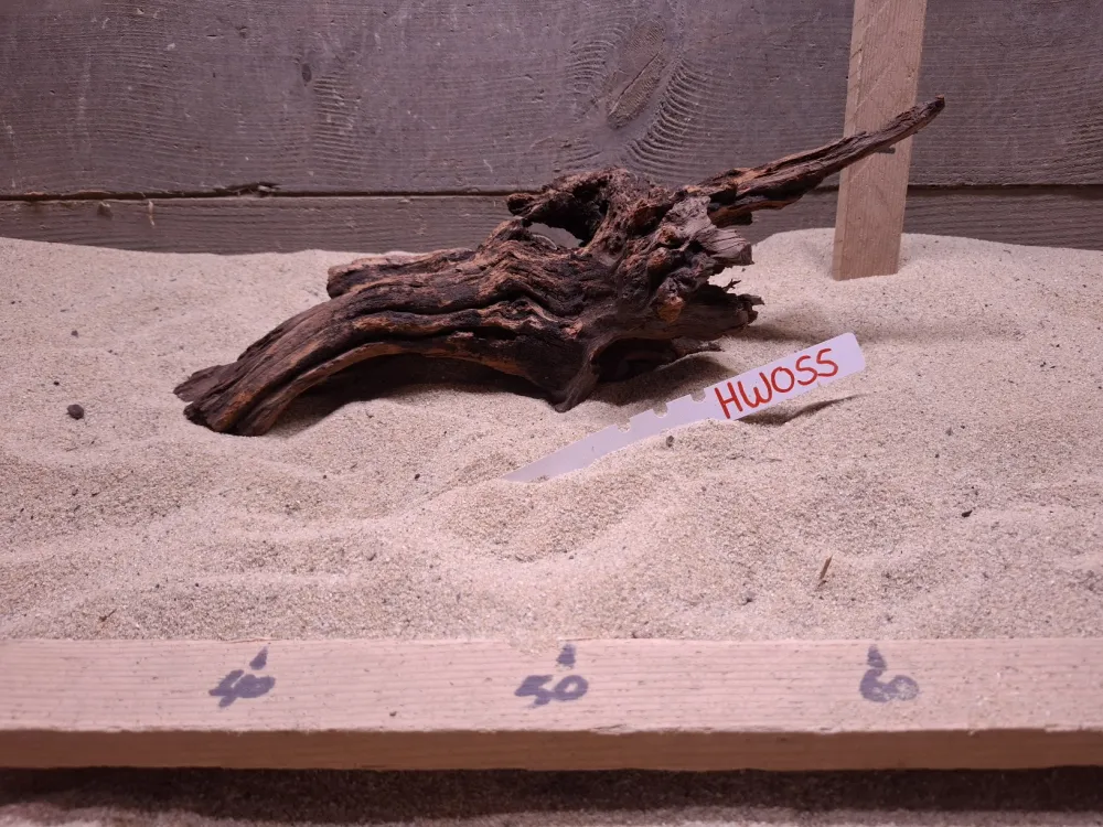 Hornwood HW055