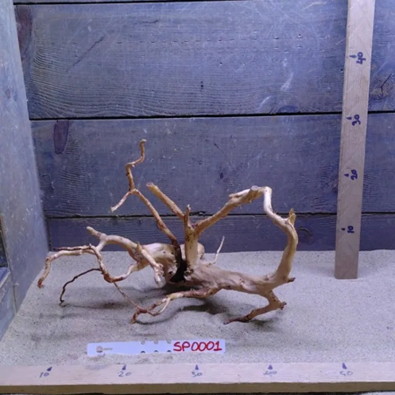 Spiderwood SP0001