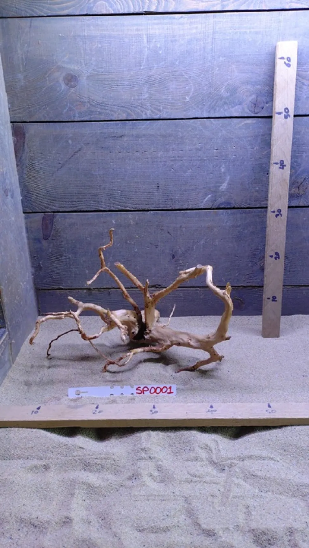 Spiderwood SP0001