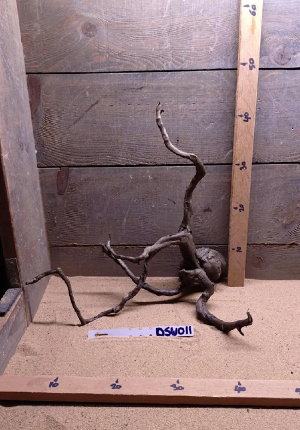 Dark Spiderwood DSW011