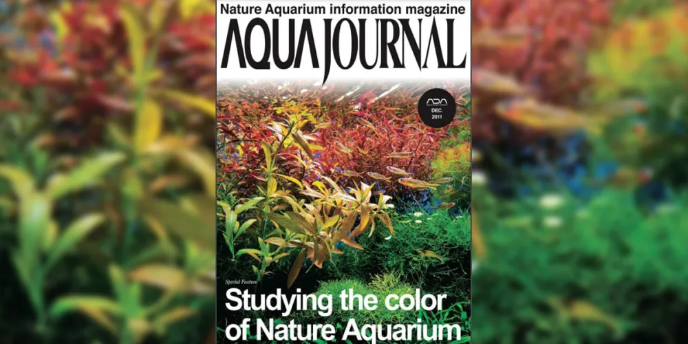 Aquajournal December 2011