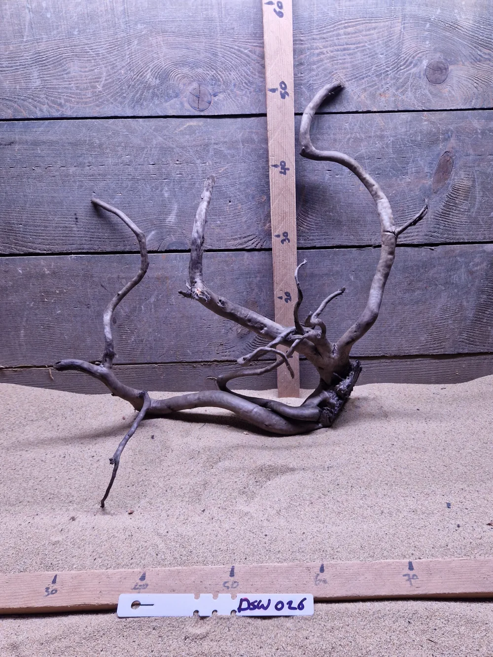 Dark Spiderwood DSW026