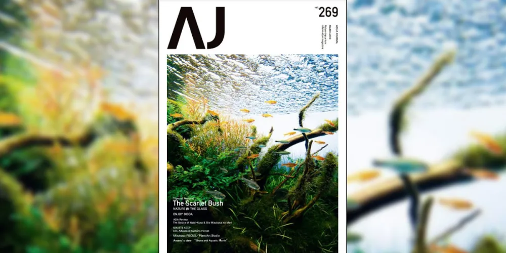 Aquajournal Maart 2018